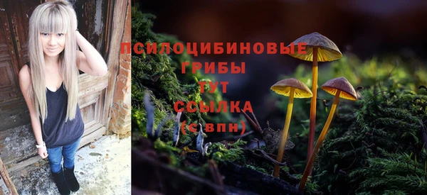 a pvp Алексеевка