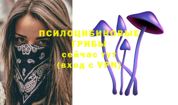 ПСИЛОЦИБИНОВЫЕ ГРИБЫ Алзамай