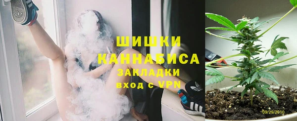 ПСИЛОЦИБИНОВЫЕ ГРИБЫ Алзамай