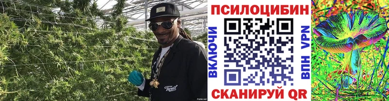 Галлюциногенные грибы GOLDEN TEACHER  купить   Арск 